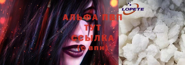 стаф Новозыбков